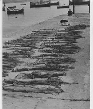 Martin Attard Photography4.jpg